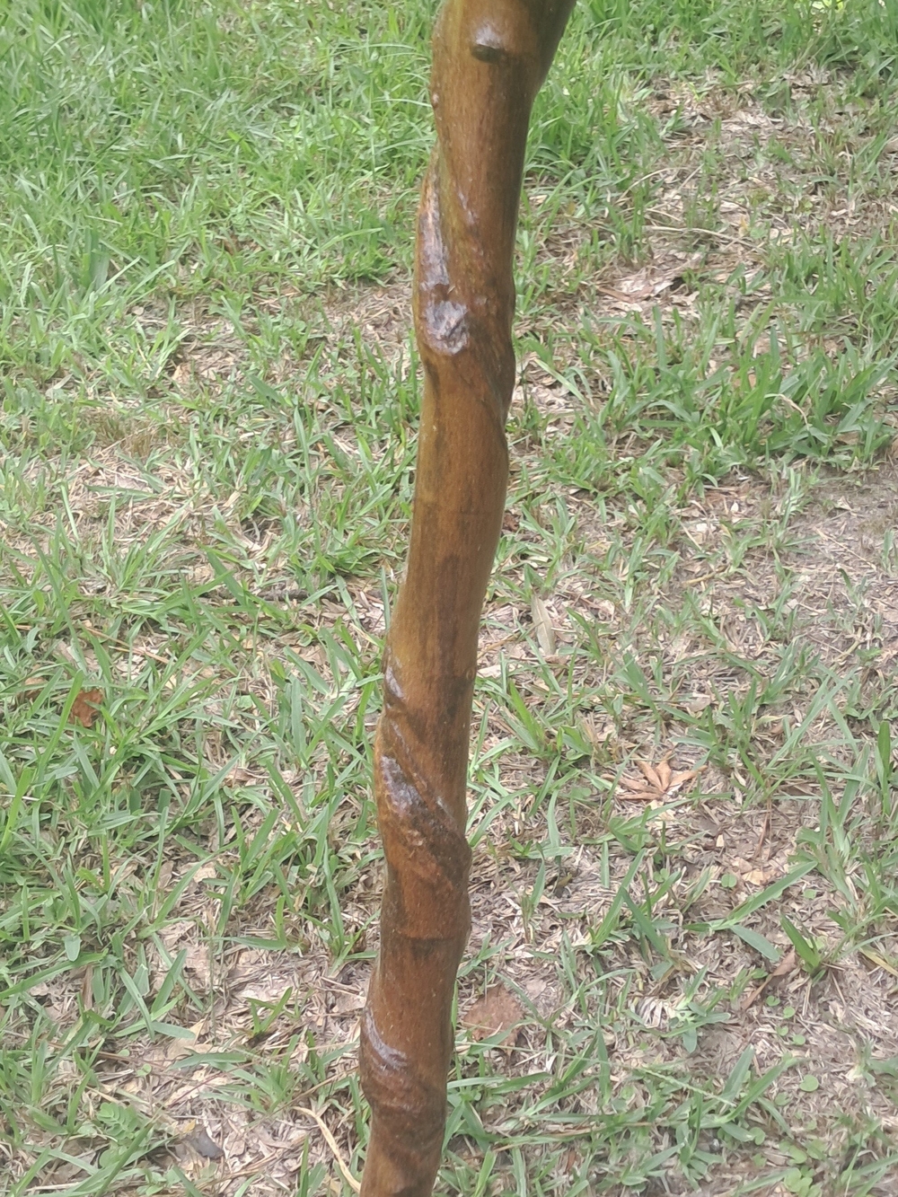 Walking Stick - Handcrafted Brown Wooden Walking Stick - Men